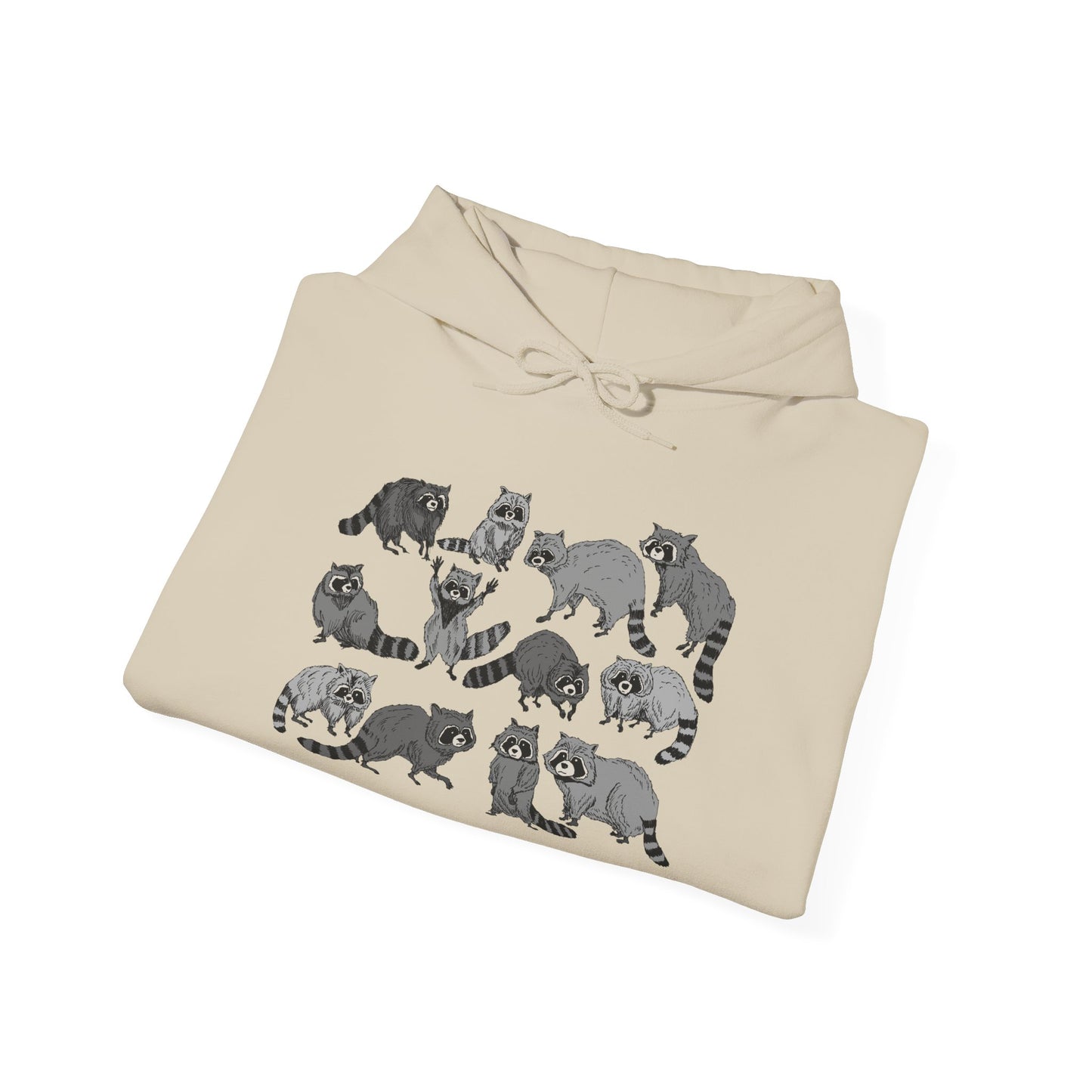 Cute Raccoons Hoodie, Cozy Unisex Sweatshirt, Perfect Gift for Pet Lovers, Casual Wear, Fun Fashion