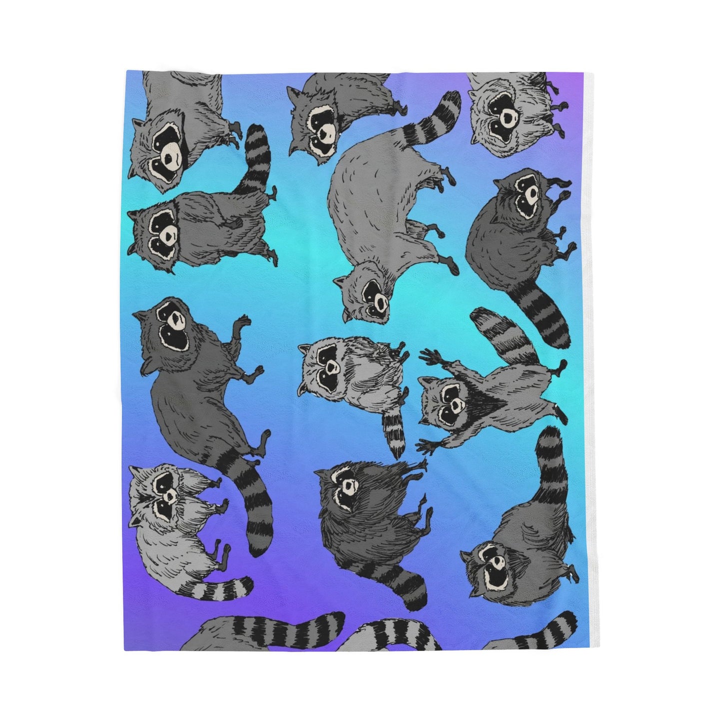 Velveteen Plush Blanket