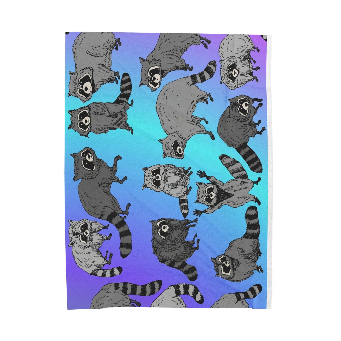 Velveteen Plush Blanket