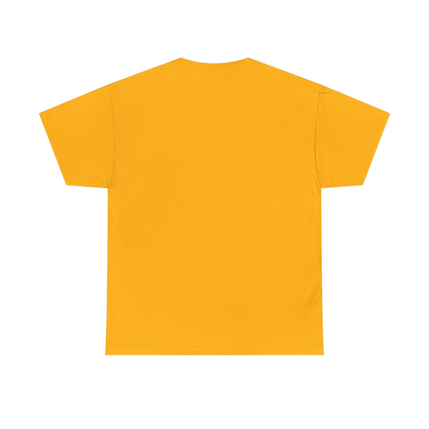 Vinyl Sounds Better T-Shirt — Retro Record Player Tee for Music Lovers